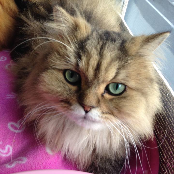 4437bd31 5563 4753 ae1f d16bc0e317be