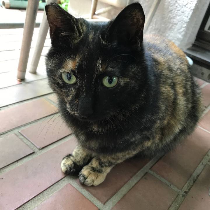 4438d3bb 4935 4cb1 b62e 975435ca8a11