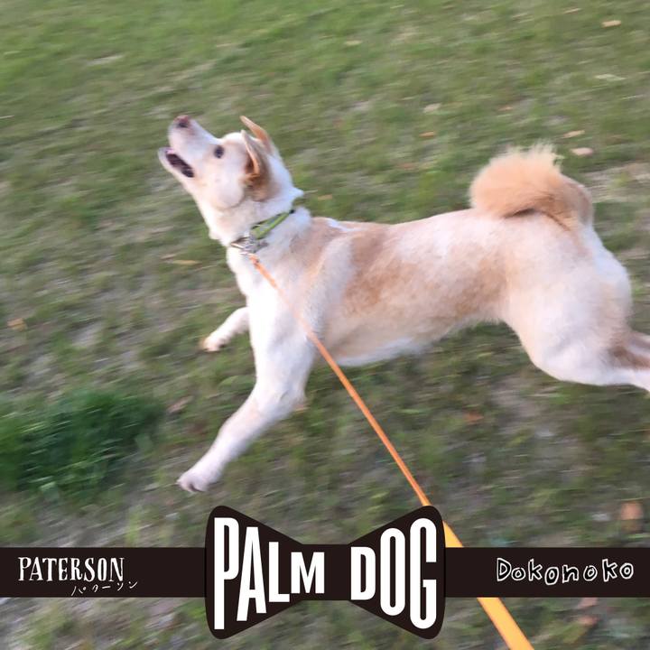 443a9ad9 946b 4de3 847e f76933f32936