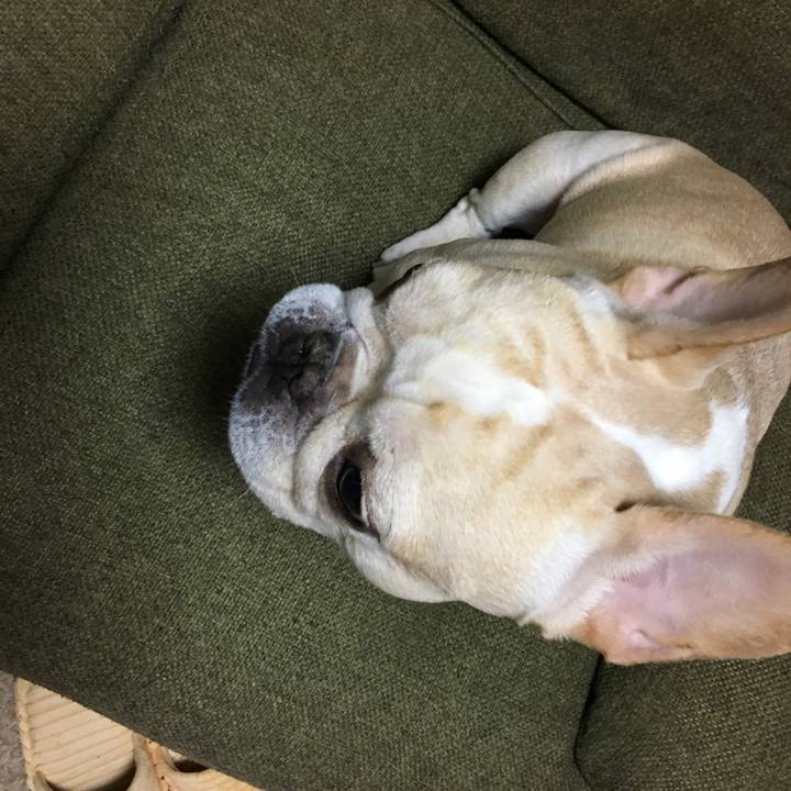 443b0e54 323c 47d4 b9a5 7a2e1c449871