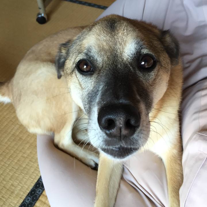 443c929c e6d3 4310 90a9 de5b1fa42ce2