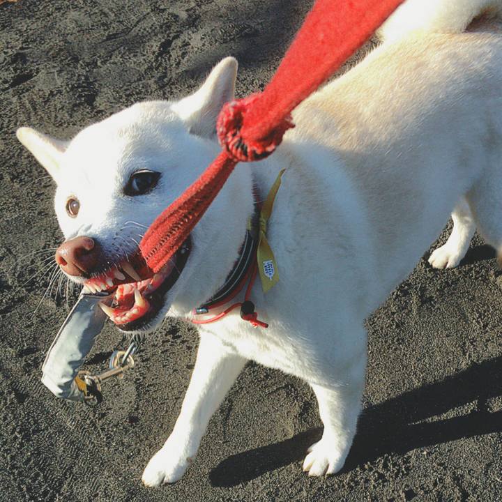 443cd2a1 b641 4219 a3b1 3c6123ac7066