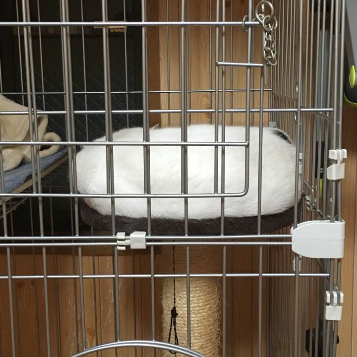 443ce063 0901 49f1 9d77 c71a89c75958