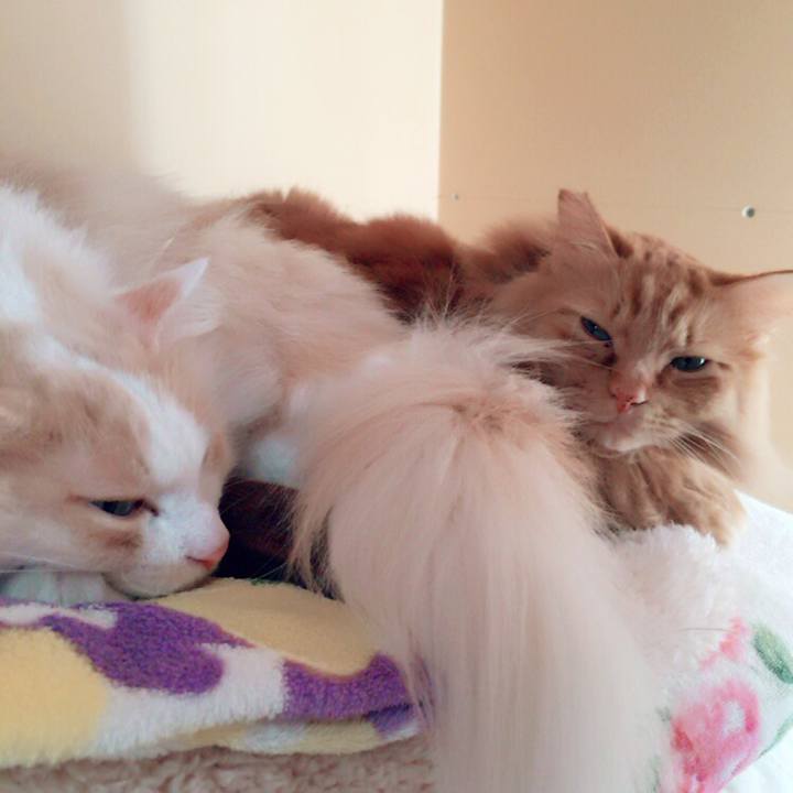 443e4c68 e70e 4b37 8030 79e1f6200f51