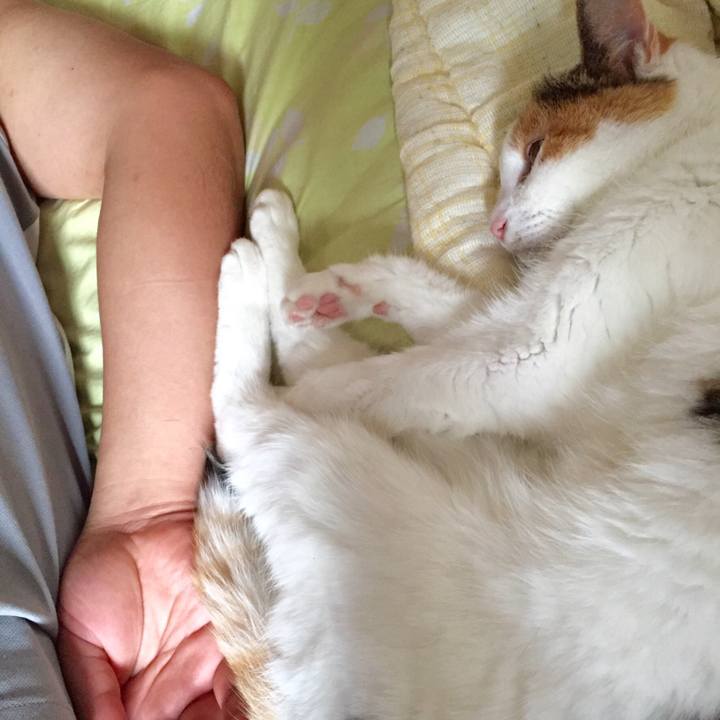 443e6131 87fe 42d8 988b 6c5e81d89072