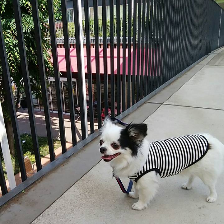 443f14df 008b 4020 a580 d1f974cfef1c