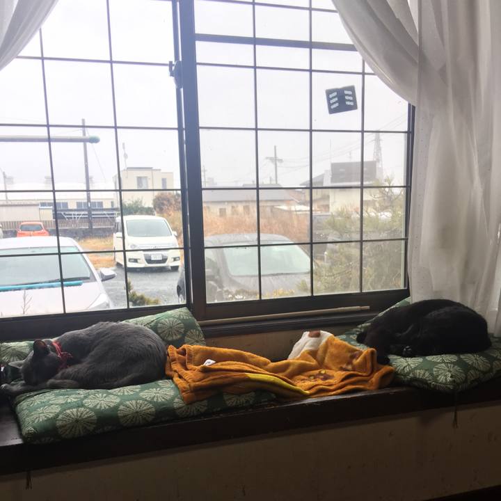 443f1788 a3e9 44bf b329 2172a400392b