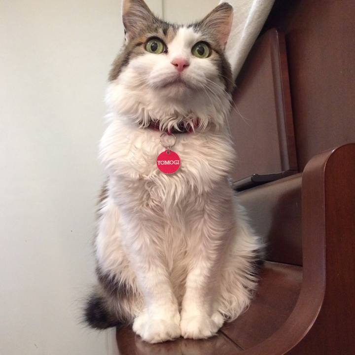 443fe29e 474c 4e78 9ba6 9a4b194a3a1d