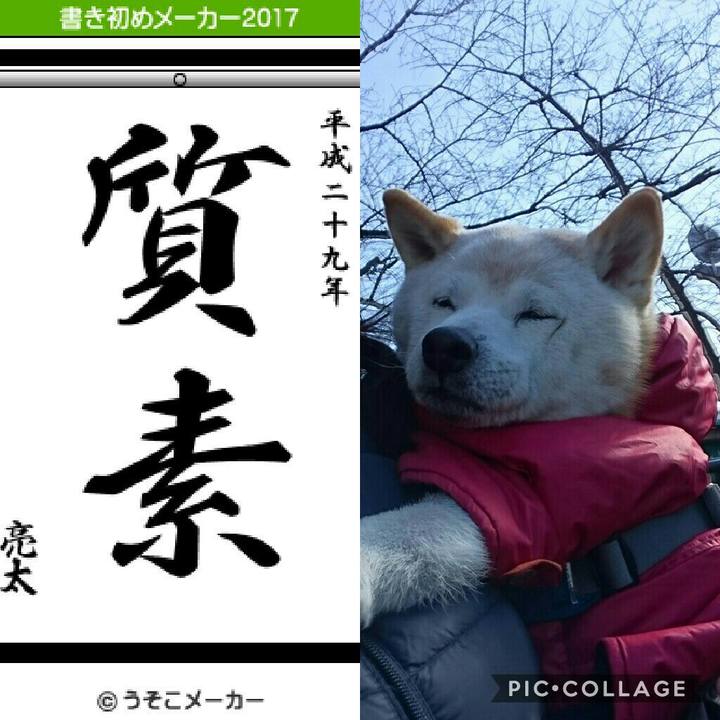 44408c88 45bf 42b1 b818 c0eb5365f711