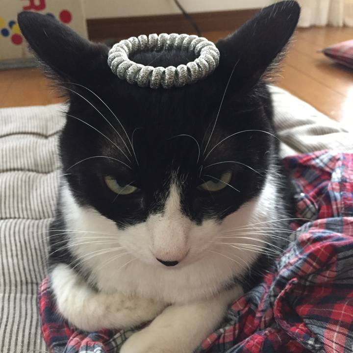 44410f30 1796 468e 8c24 15fd04922255