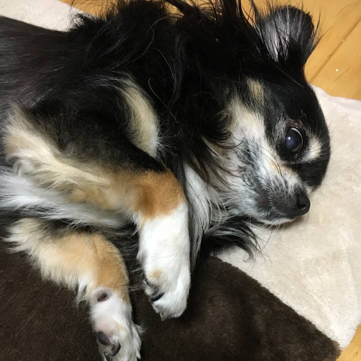 44413415 6994 494c b973 d4fca4e91fa3