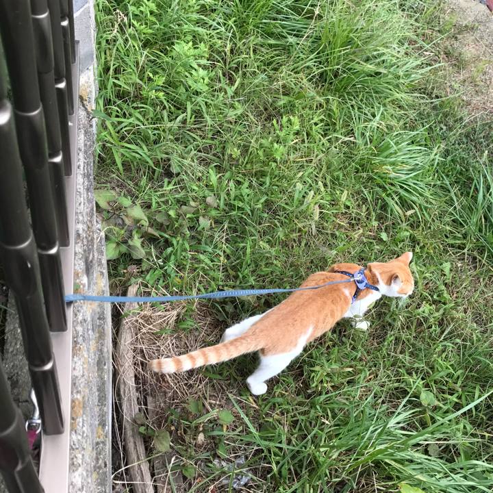 4441523f 1ffa 4641 8c82 639375b7a9a3