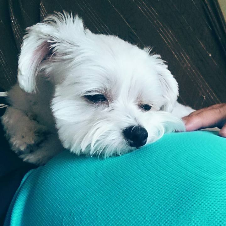 44416a0d 19d6 41f3 8173 136bdfbfd7b7