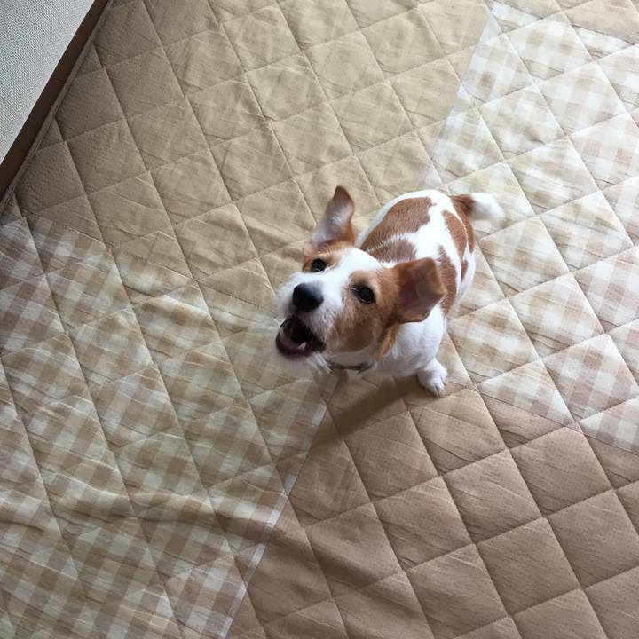 444225d1 57f1 4c1d 9368 2b48bb96a197