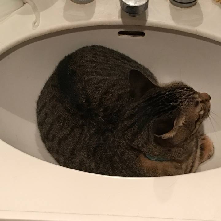 444259df ba16 4d4c 84b7 189c56ab4ea0