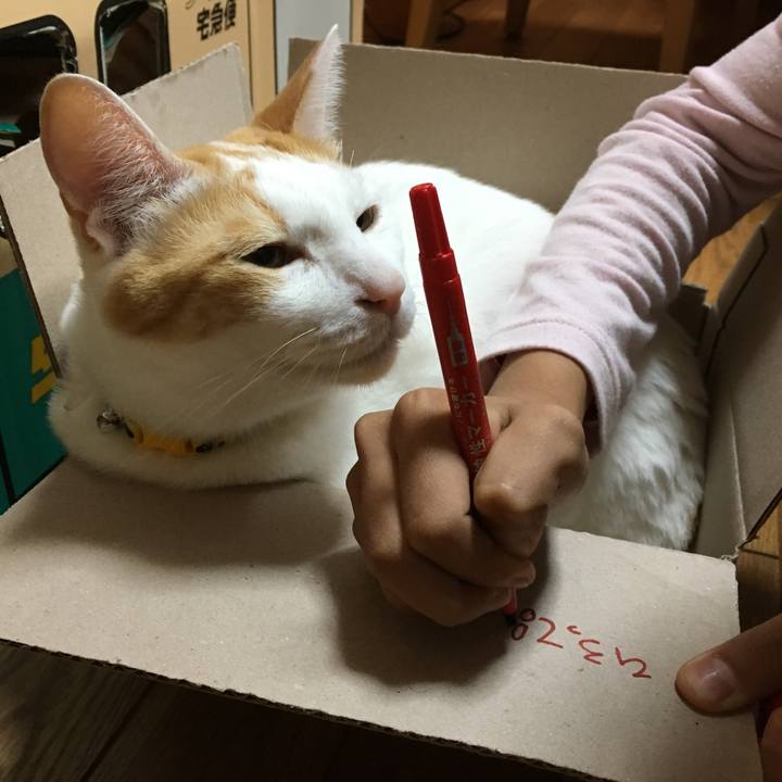 4442ecbd c622 42ec a498 7f314800ccc3