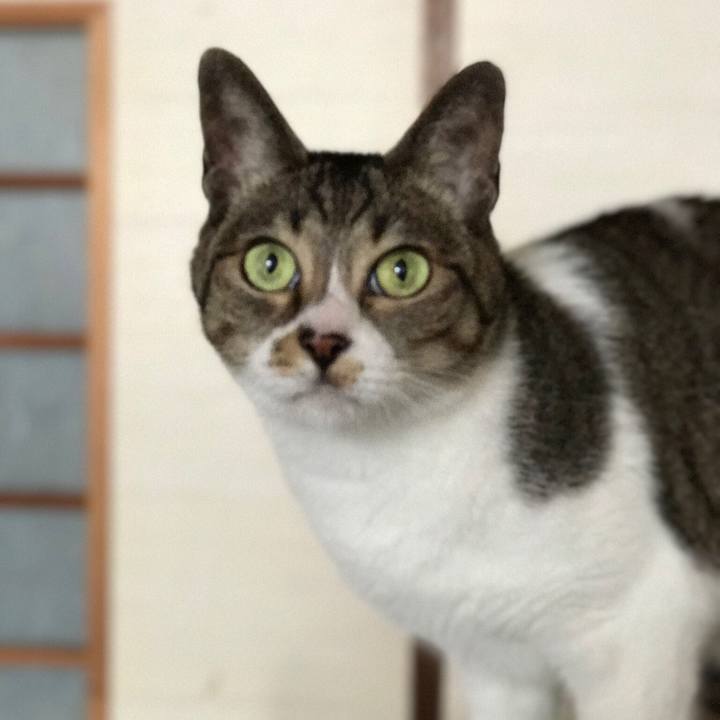 44433942 e05c 47c9 8a56 49cab4c2ecc1