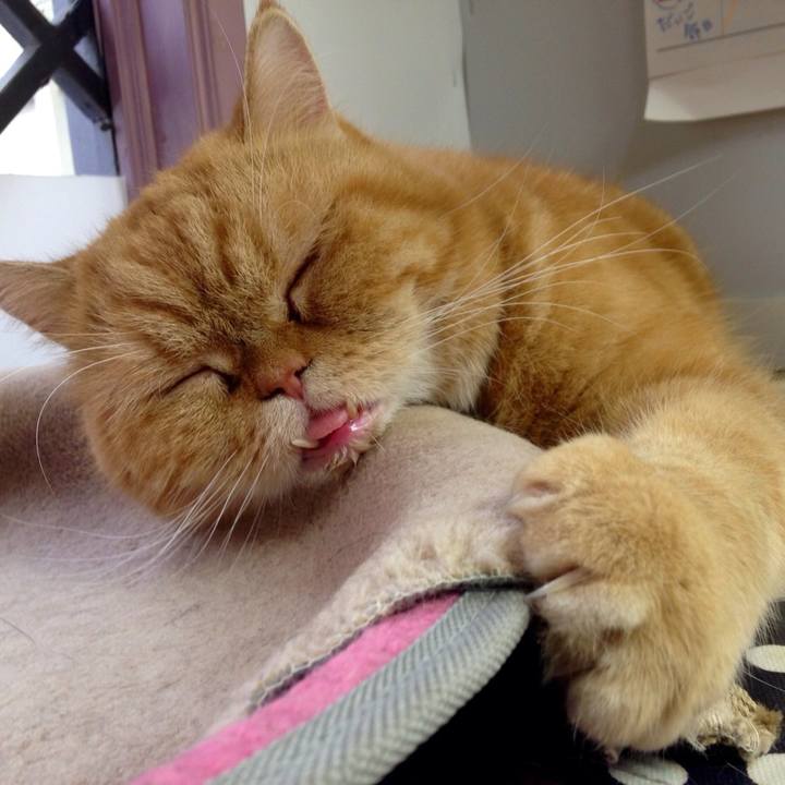 444354d1 d8d8 480c a569 591862925bc0