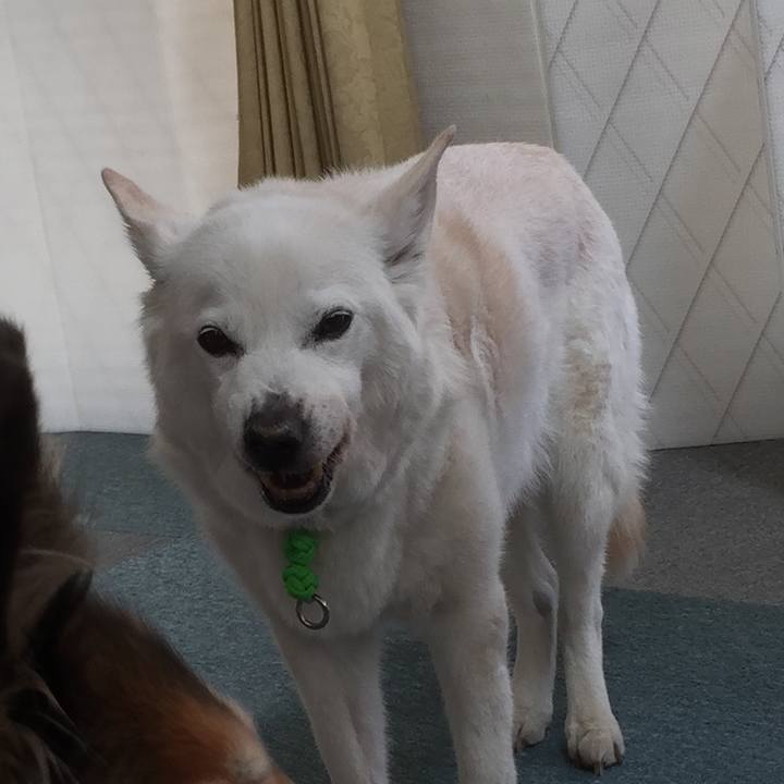 4443b5b4 7822 46a9 8e08 72495fdcfbba