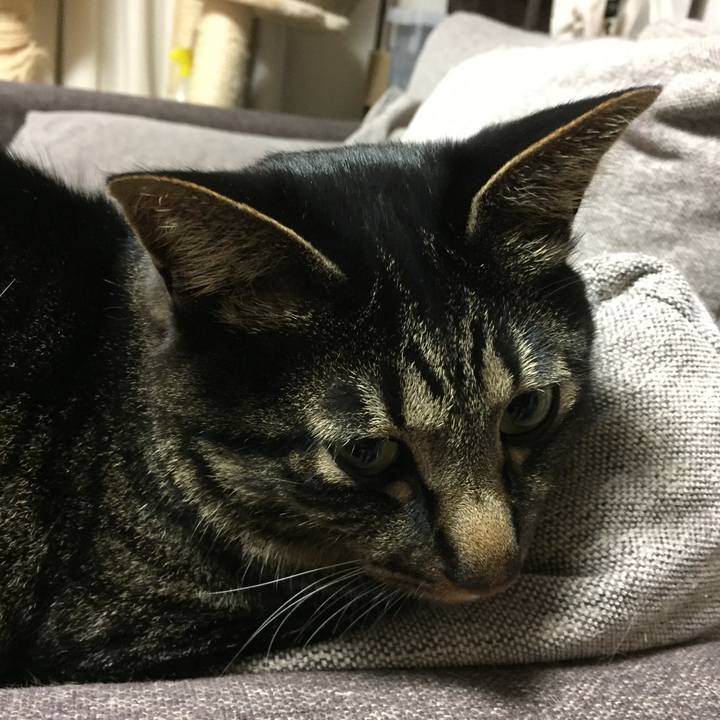 444482ed a0fc 4176 bd6a 502492a2c242