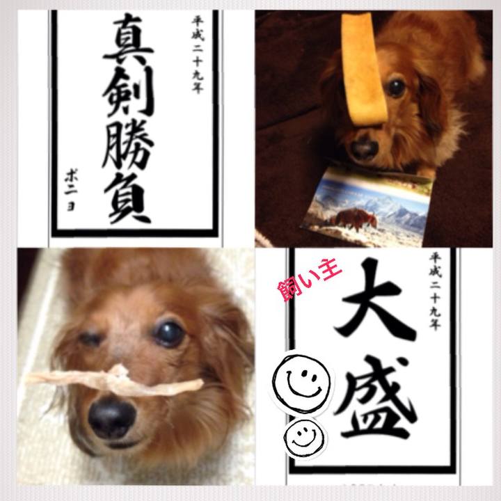 4444e65f 709e 4ce8 9c22 4f383a4ba56c