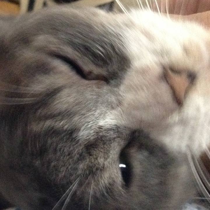 44450201 8b22 4a65 aba9 a27ef1f66f41