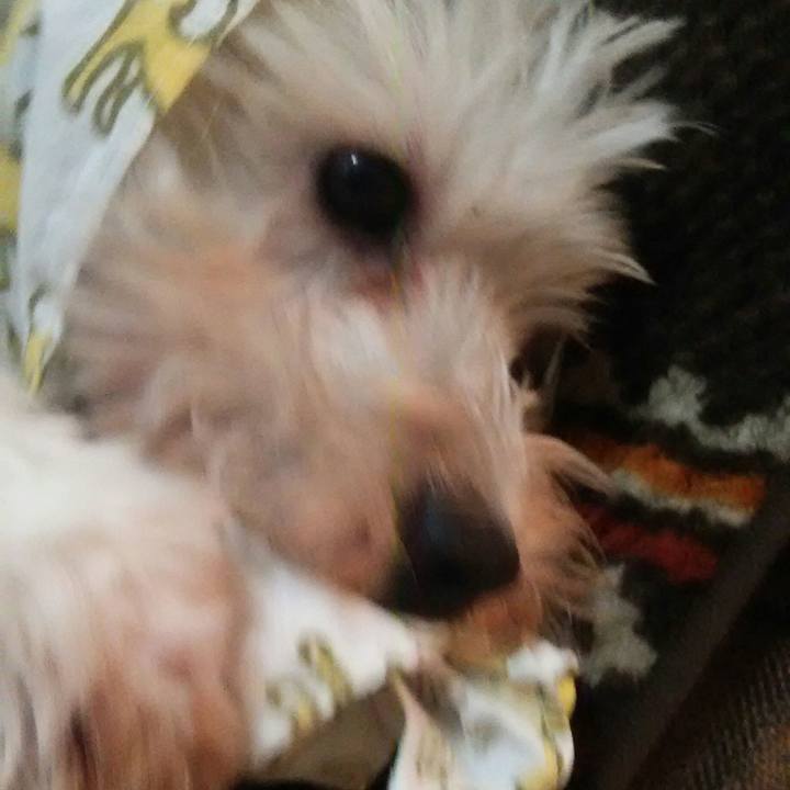 444531bf b25b 43b0 abf5 14ce7504cca4