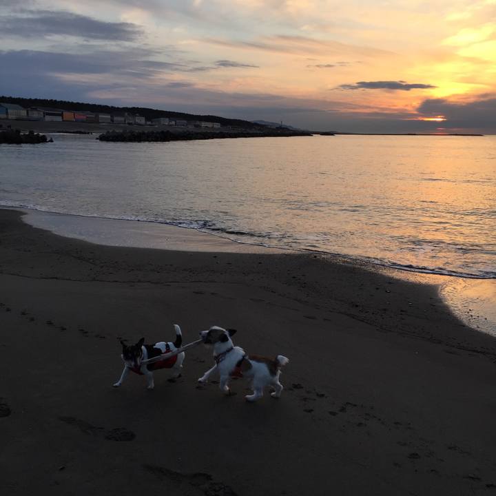 44454129 6d83 4fdd a036 d44bc0a41f9b