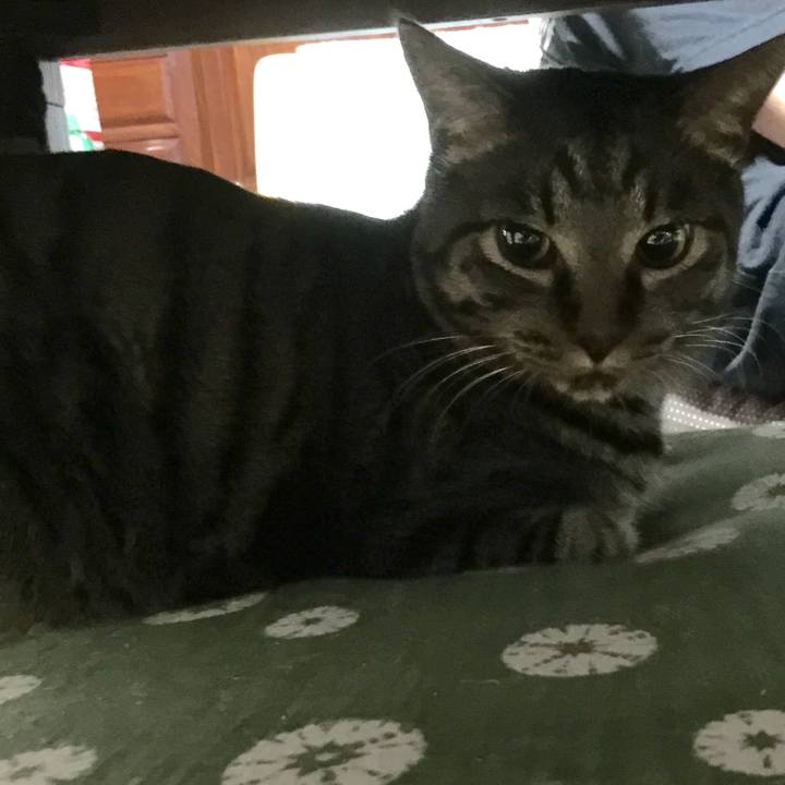 44455273 a722 4c60 a9e9 dbdda6dbc432