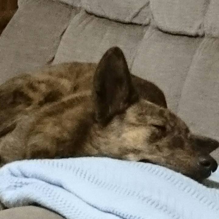 44457ea3 8977 43fb 9669 25fb01d1376e