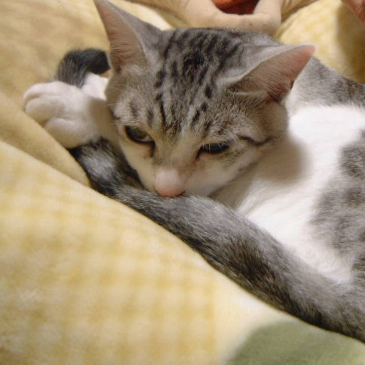 4445d62c 16f6 4705 86f3 7535fe73f31b