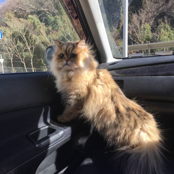 44465bf5 b96c 405c ad20 f3ed8ccc7dc1