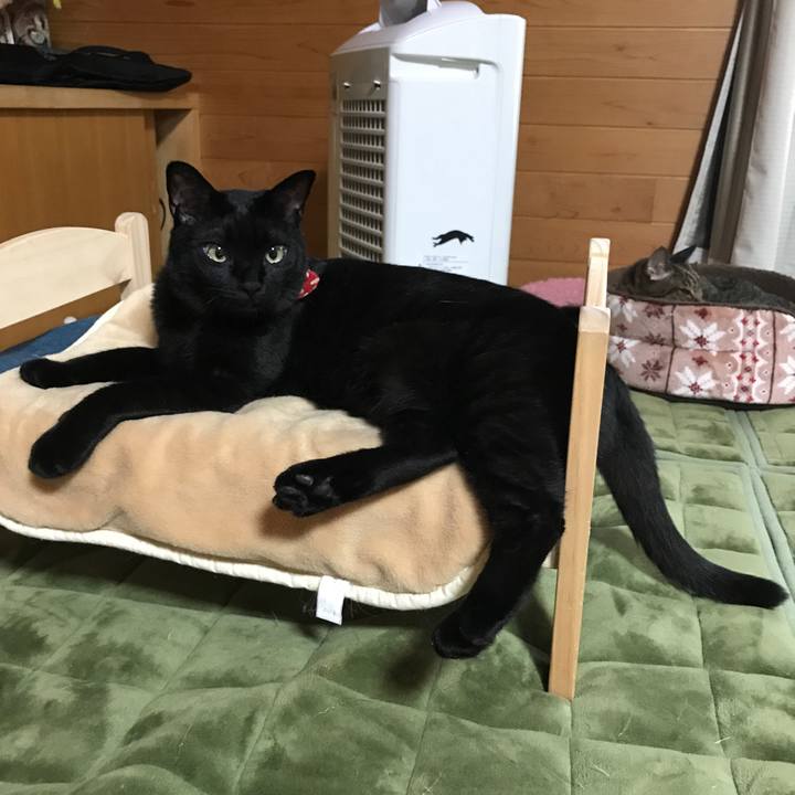 4446bc4a 7eef 4aba a7fc da96e237c0c3