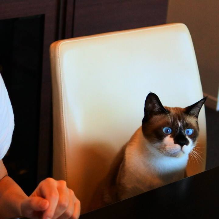 4446c0aa 9138 4930 b187 6cf67c6ed70c