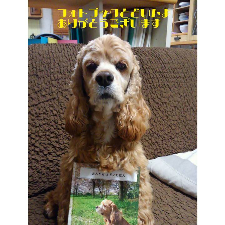 44475473 c0c2 4d57 8795 9f1ce1f48789