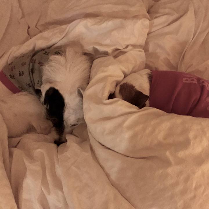 4447c8f8 8838 4375 953f 2fbe93196e5d