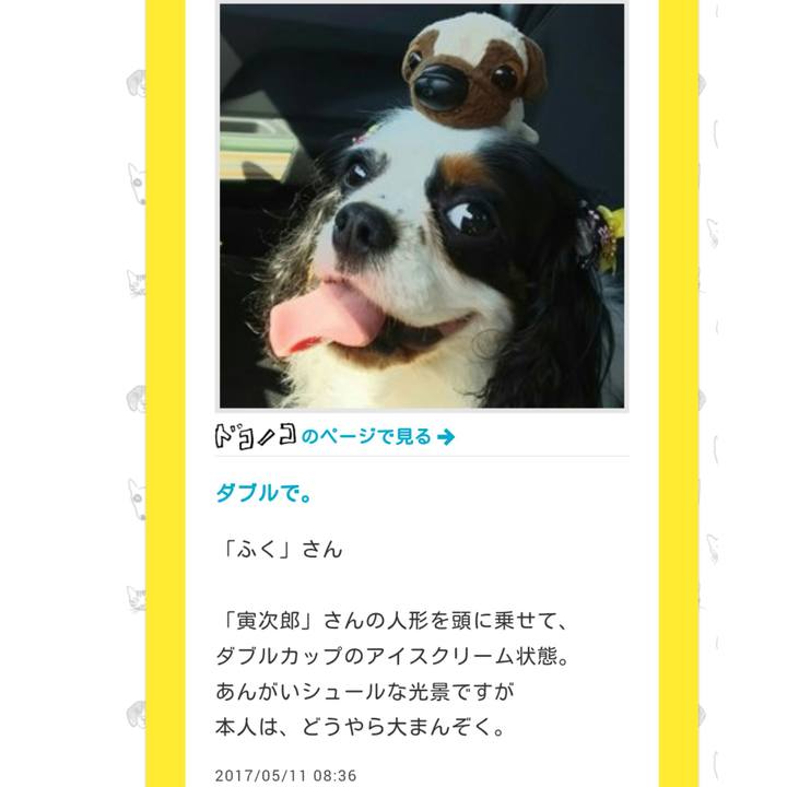 4447d329 7c98 48ab bbf8 2d1c0e6fa3a5