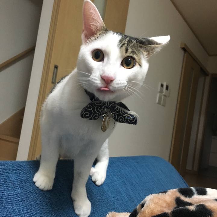 4447eb66 bf20 41f8 8d26 d612ed52f942