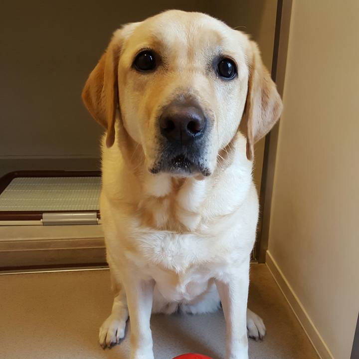 4447f8c8 8c55 4465 8538 8209b4ad3072