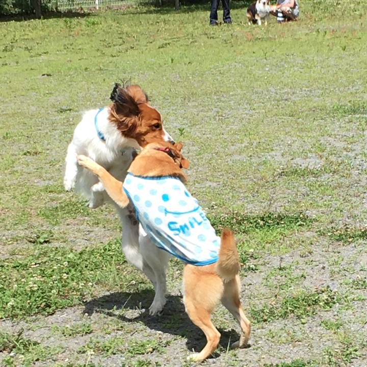 44486850 c7ac 4ad4 90d2 026364481202