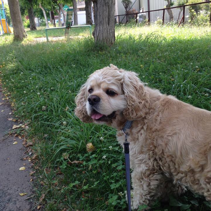 444912c9 528c 47fa becf c6572373336d