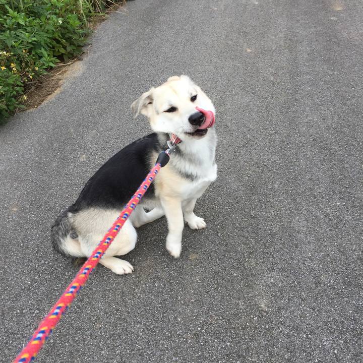 4449b247 a0b8 40ab 8e7b 7d3582117682