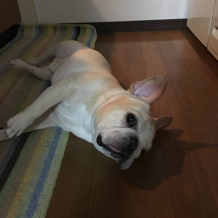 444b2a8c 9df5 409d 8af9 8072a28f0a8e