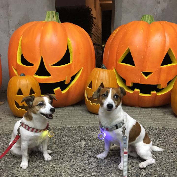 444b893d ba9a 40f5 8e6d 1232a152cb03