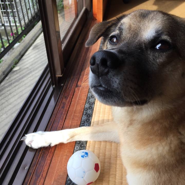 444b94f6 3330 4740 9743 a25952cf5177