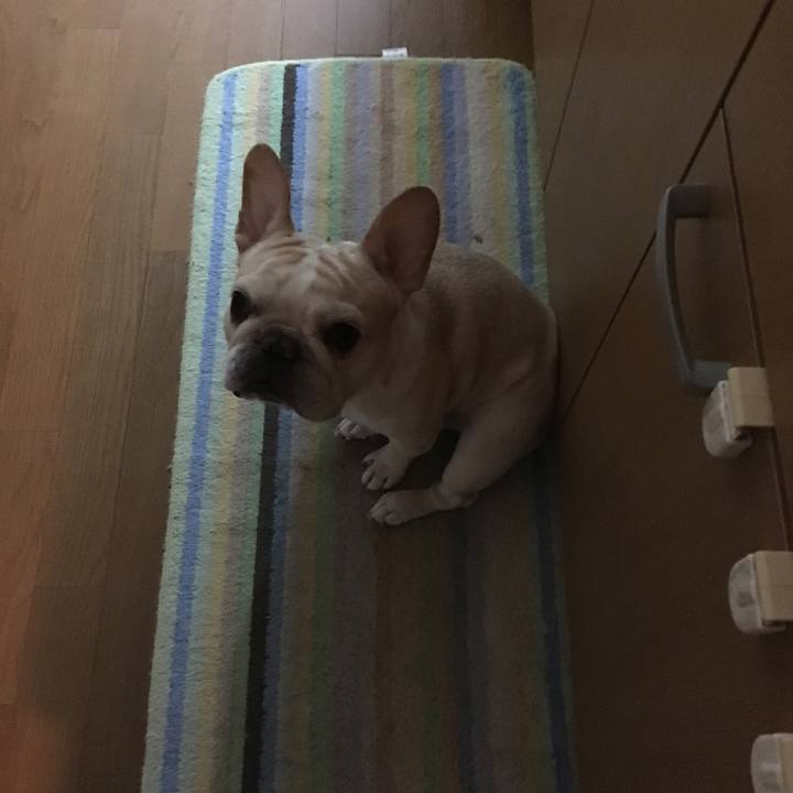 444c2377 c307 4621 aa7b dc414f05d32d