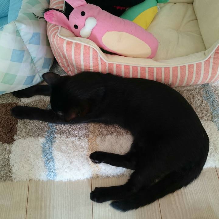 444d0201 6f34 4914 b201 8765b806debd