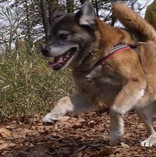 444d1f2b 5b45 40bf 8e6d bd616145214c