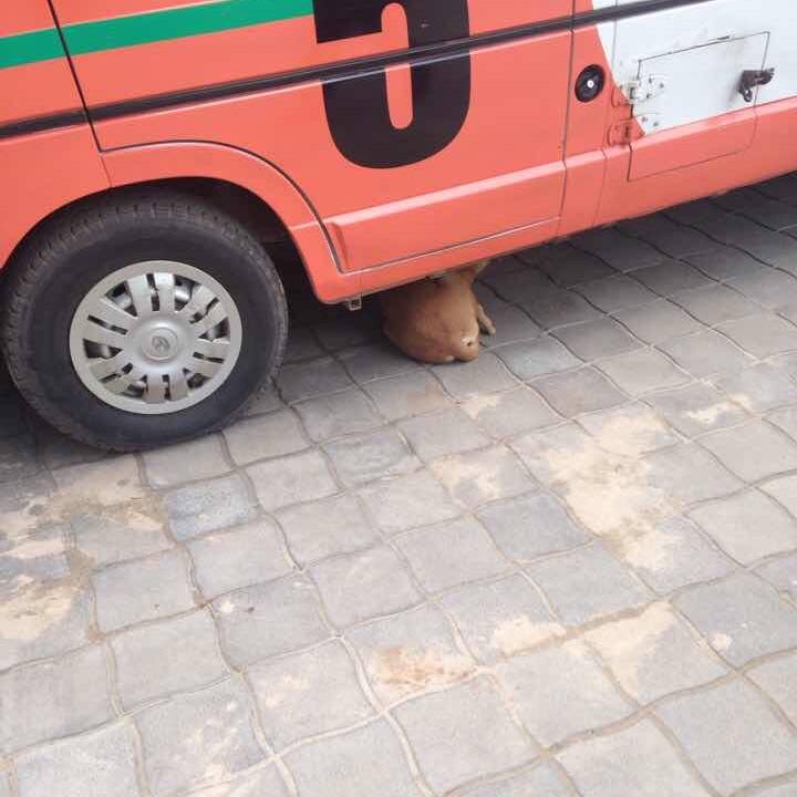 444d378a 6148 4c53 b89a 9151a3c665a2