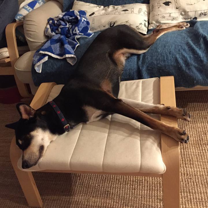 444d3f07 e15b 492d 8be4 1e79631af50e